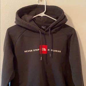 The North Face Logo Hoodie